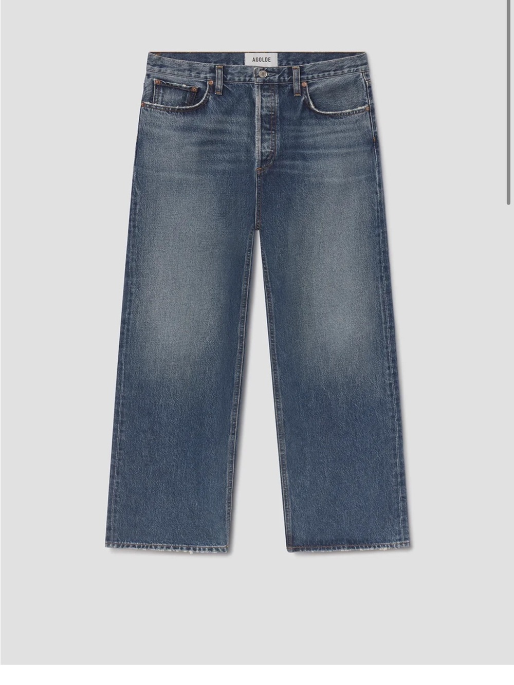 Agolde Women's Low Slung Baggy Blue Jeans